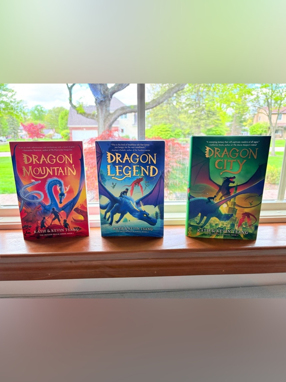🐉 The Dragon Realm Complete Series 🐉